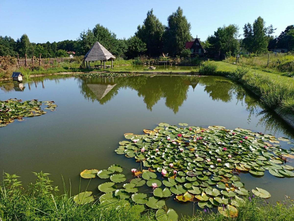 Noclegi U Janusza Zalesie  Luaran gambar